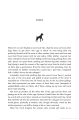 Фото A Dog's Purpose 11