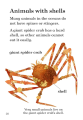 Фото Under the Oceans. ELT Graded Reader 2