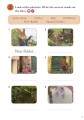 Фото Ladybird Readers 2 Peter Rabbit and the Angry Owl Activity Book 3