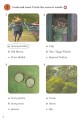 Фото Ladybird Readers 2 Peter Rabbit and the Angry Owl Activity Book 2