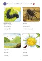 Фото Ladybird Readers 3 Minibeasts Activity Book 3