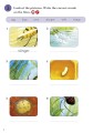 Фото Ladybird Readers 3 Minibeasts Activity Book 4