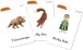 Фото Ladybird Readers 2 Flashcards 2