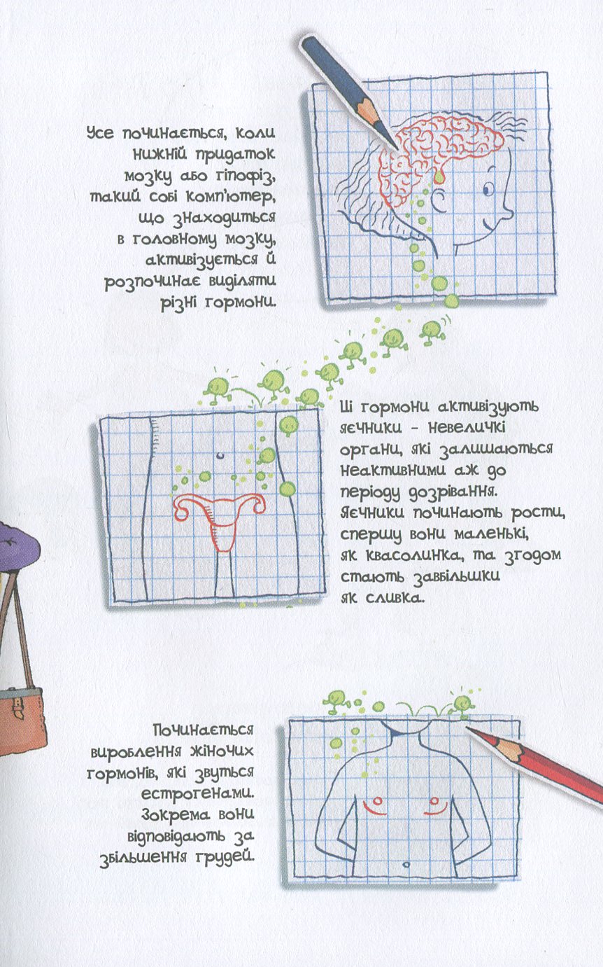 Hidden Product Image 6