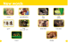 Фото Animal Families 3