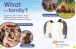 Фото Animal Families 4