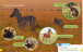Фото Animal Families 6