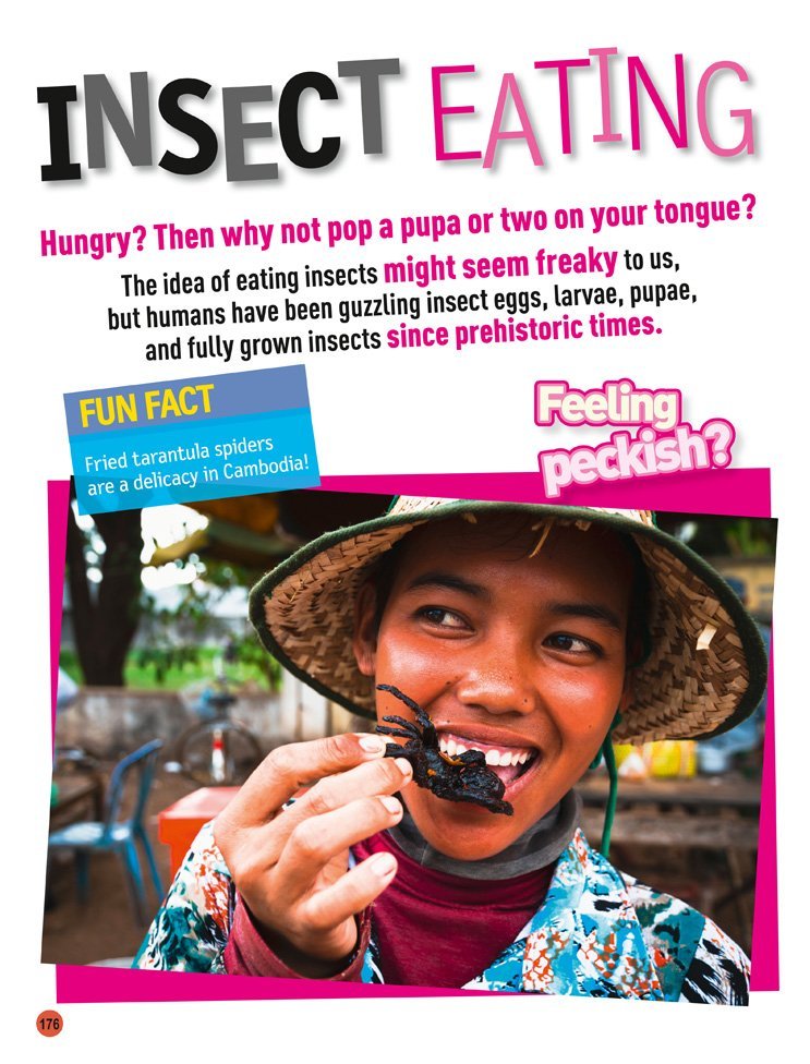 Hidden Product Image 6