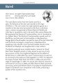 Фото Clans and Tartans. Traditional Scottish Tartans 9