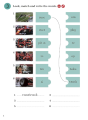 Фото Racing with Scuderia Ferrari. Activity Book 2