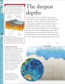 Фото Ocean. A Children's Encyclopedia 4