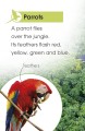 Фото Jungle Animals. Discover the Secrets of the Jungle! 2