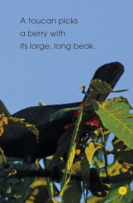 Jungle Animals. Discover the Secrets of the Jungle!