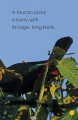 Фото Jungle Animals. Discover the Secrets of the Jungle! 5