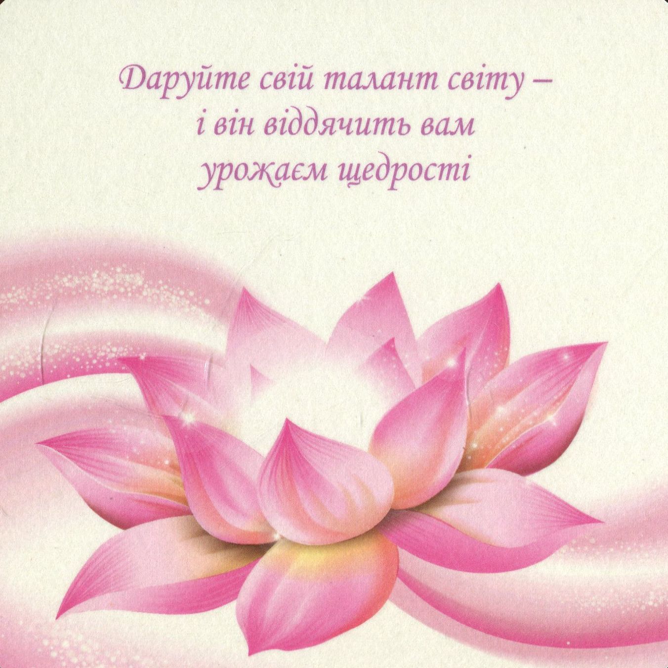Hidden Product Image 6