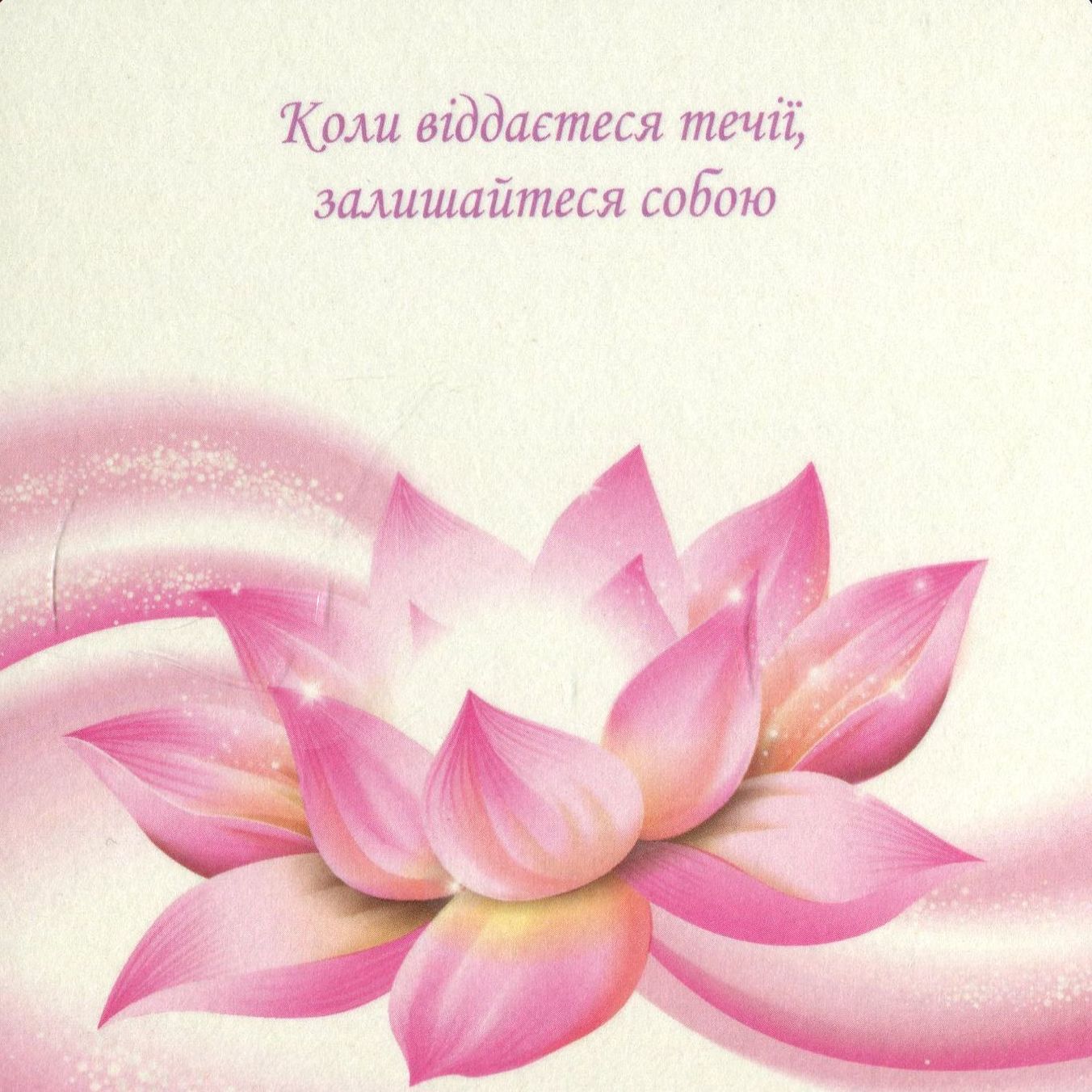 Hidden Product Image 10