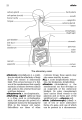 Фото Oxford Minidictionary for Nurses 7