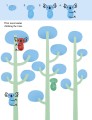 Фото Fingerprint Activities Animals 4