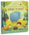 Фото Lift-the-Flap First Questions & Answers: What is Poo? 2