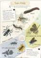 Фото Collection of Curiosities: Bugs 3