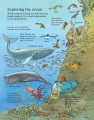 Фото First Encyclopedia of Our World 5