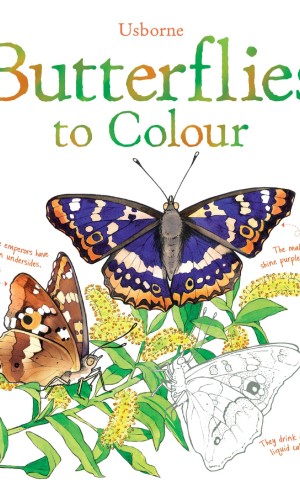 Colouring Book: Butterflies to Colour