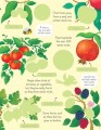 Фото First Sticker Book. Fruit & Vegetables 3