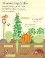 Фото First Sticker Book. Fruit & Vegetables 4