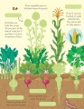 Фото First Sticker Book. Fruit & Vegetables 5