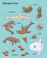 Фото First Sticker Book: Under the Sea 6