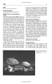 Фото Oxford Companion to Cosmology 7