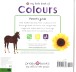 Фото My Little Book of Colours 2