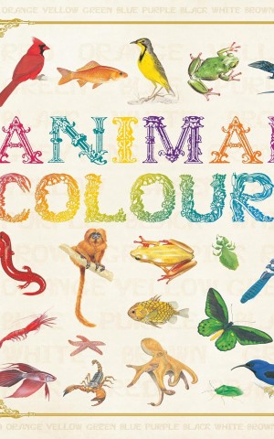 First Concept. Animal Colours