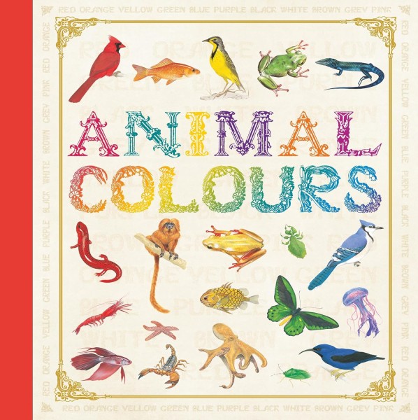 Фото First Concept. Animal Colours