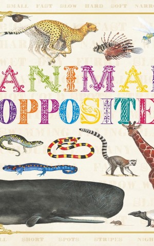 First Concept. Animal Opposites
