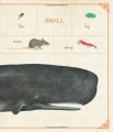 Фото First Concept. Animal Opposites 4