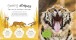 Фото The Incredible Fold-Out Book of Animals 5