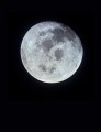 Фото The Moon. A Celebration of Our Celestial Neighbour 2