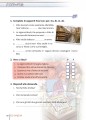 Фото Primiracconti (A2-B1). Il manoscritto di Giotto 9