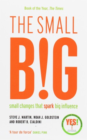 The Small Big. Small Changes That Spark Big Influence
