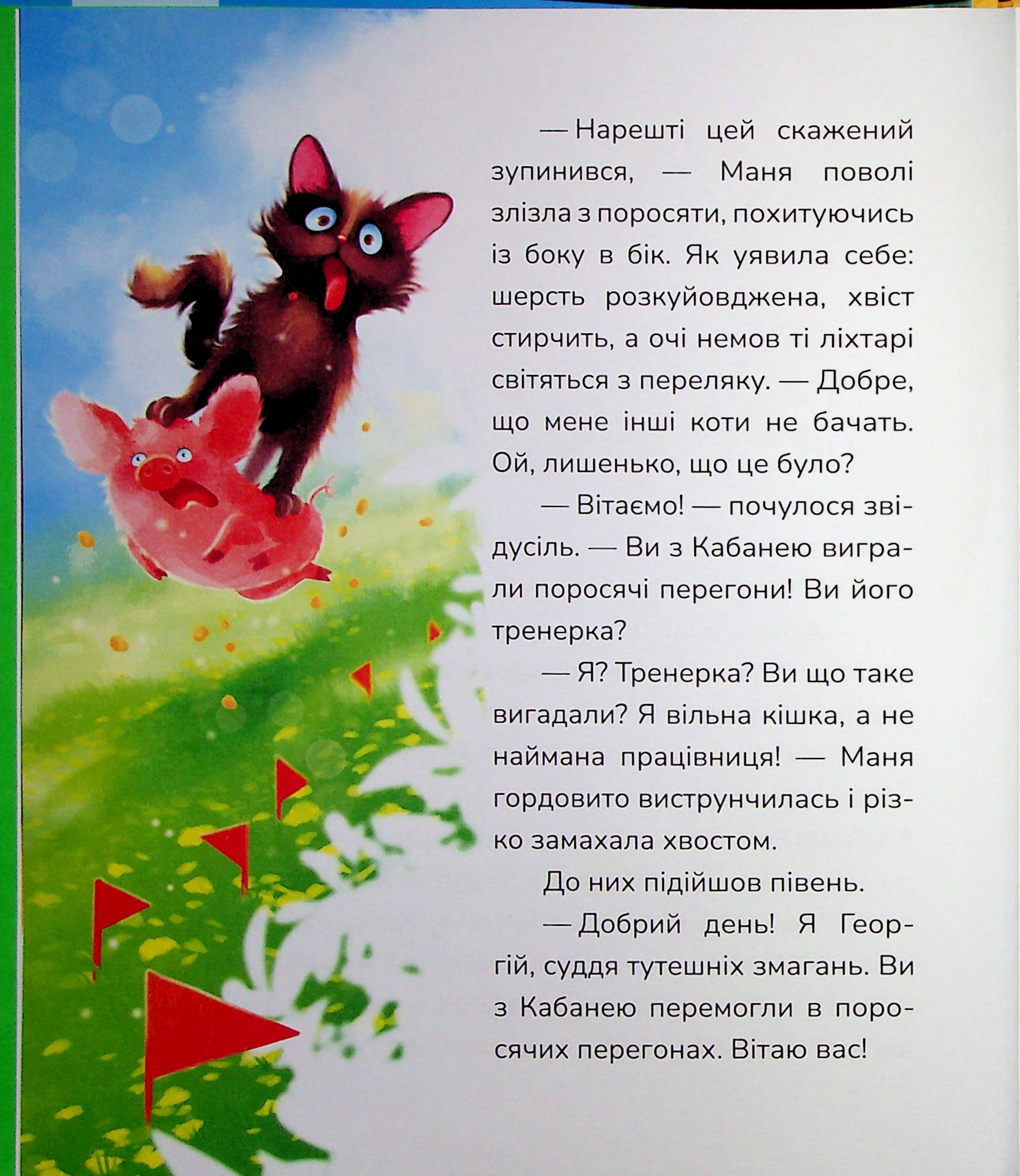Hidden Product Image 6