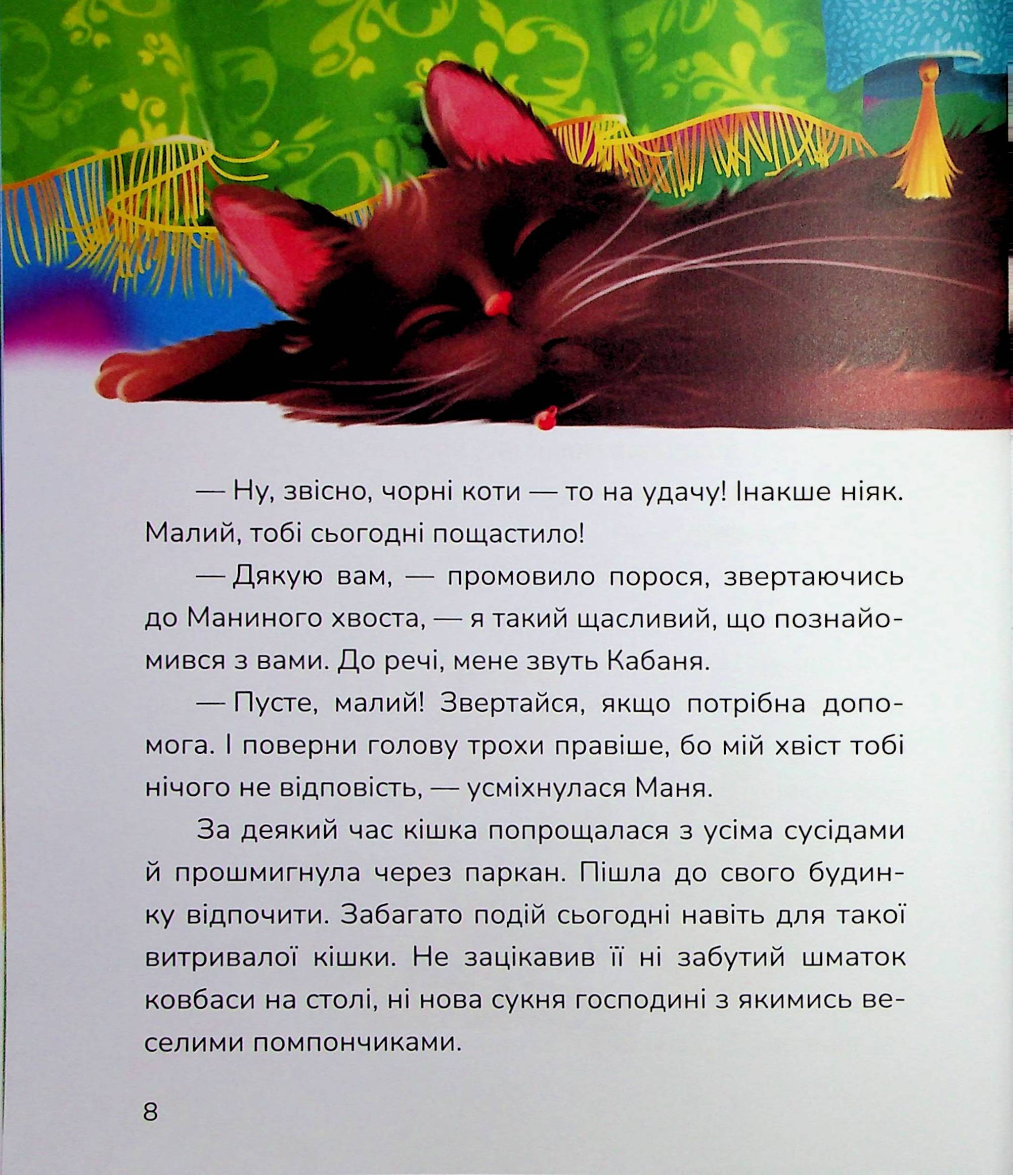 Hidden Product Image 8