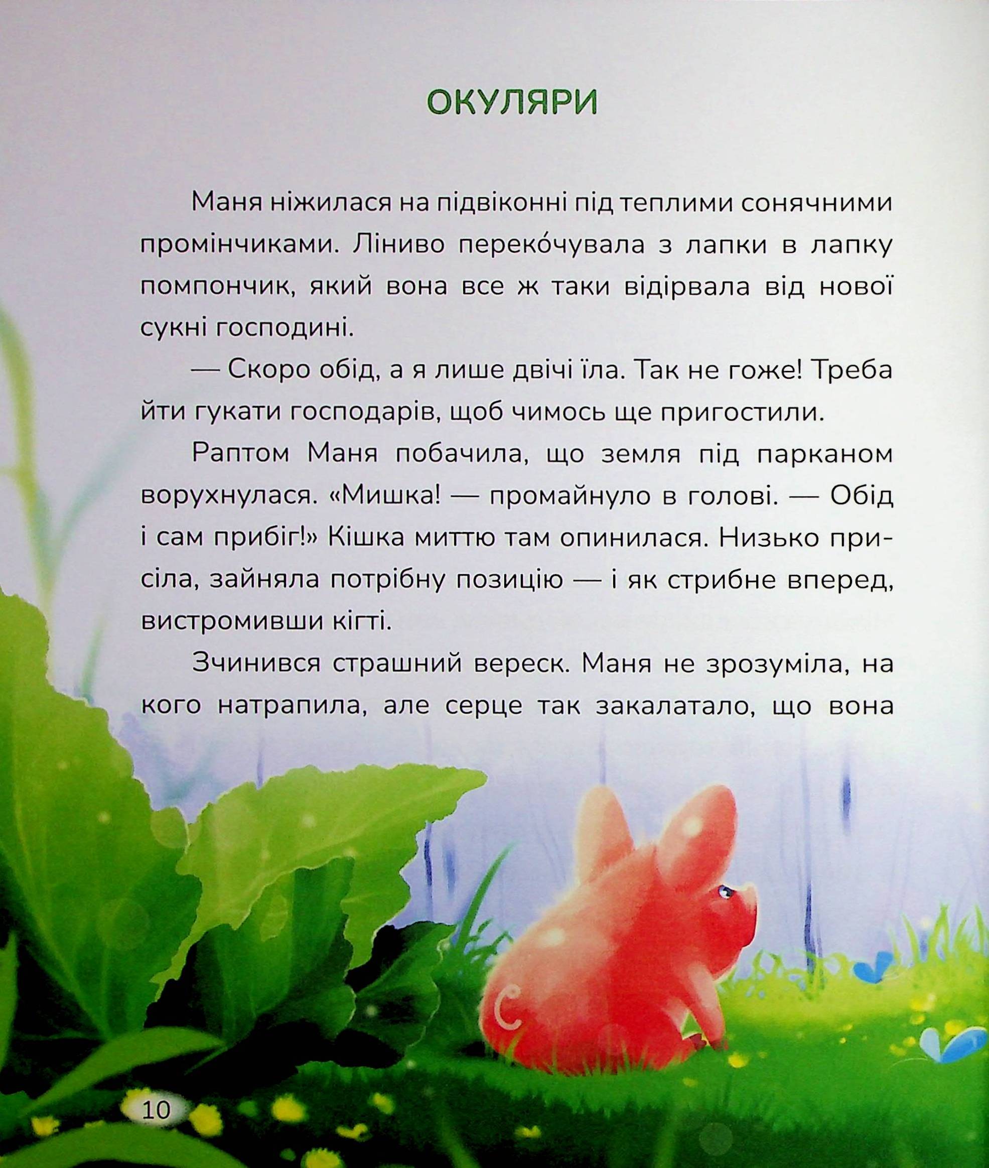 Hidden Product Image 10