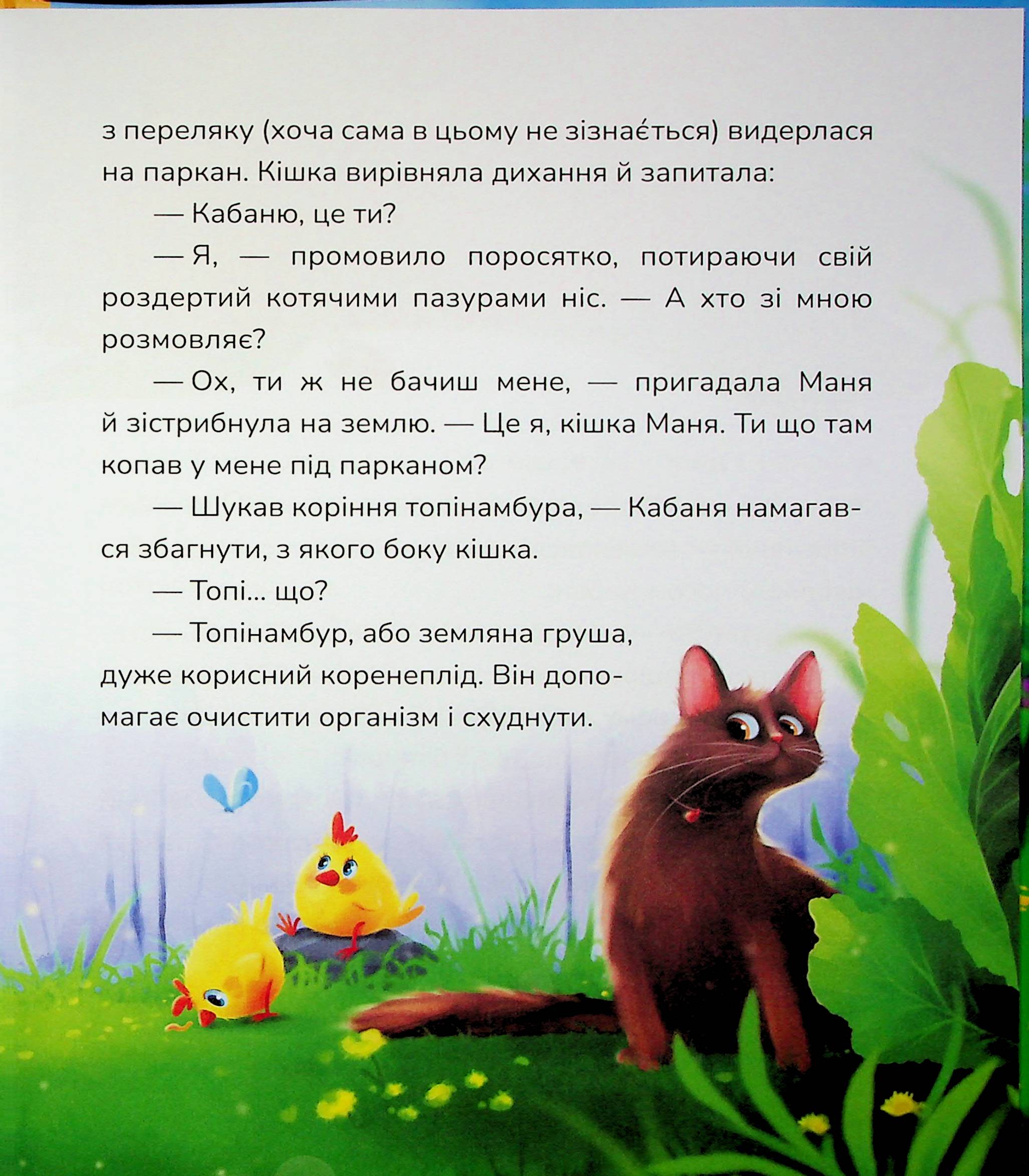 Hidden Product Image 11