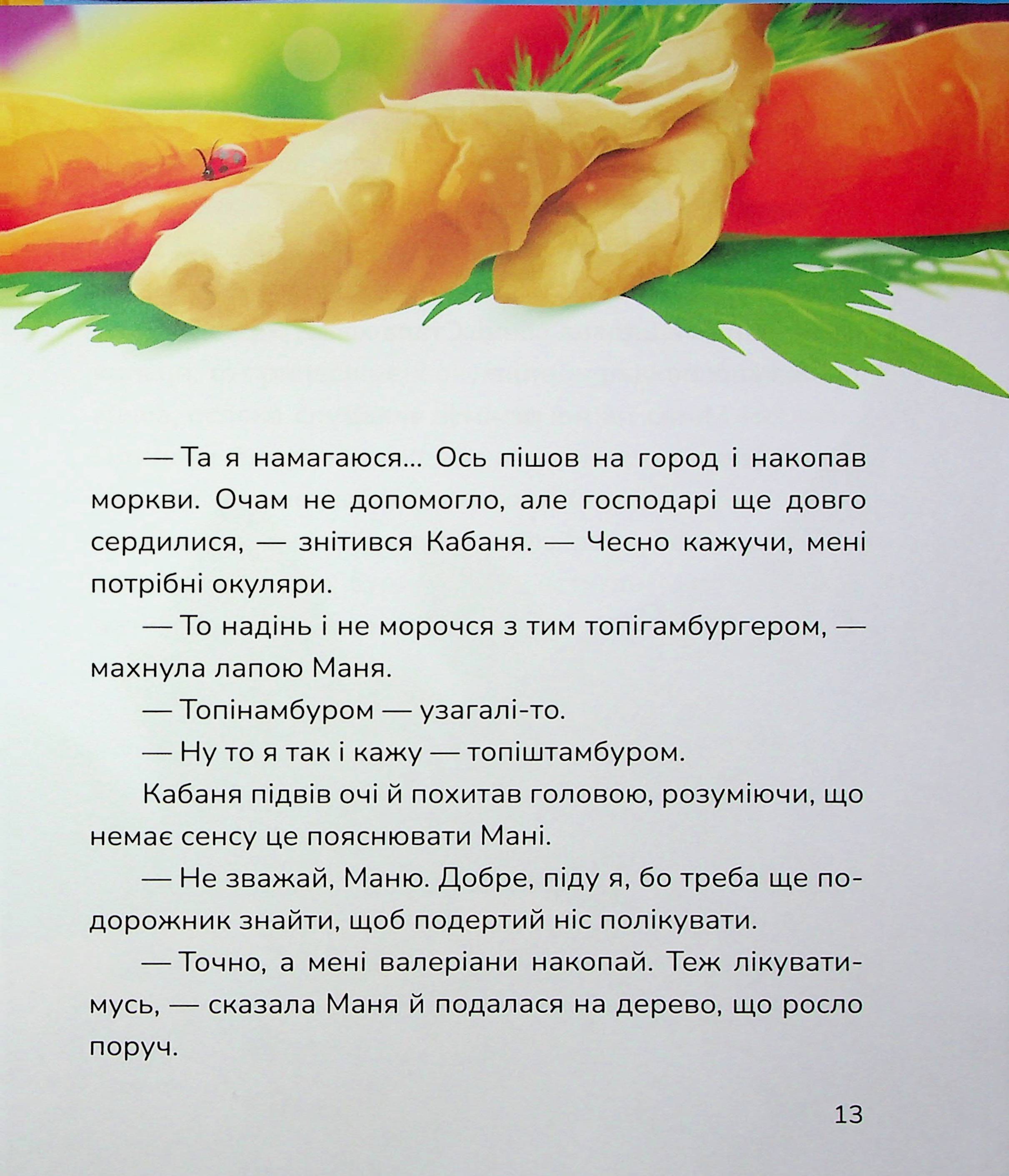 Hidden Product Image 13