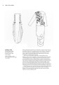 Фото 20th-Century Fashion in Detail 6