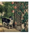 Фото Art Cat 4