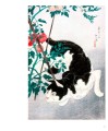 Фото Art Cat 7