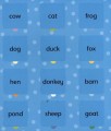 Фото Lift-the-Flap. Word Book 3