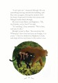Фото UER3 The Jungle Book 4
